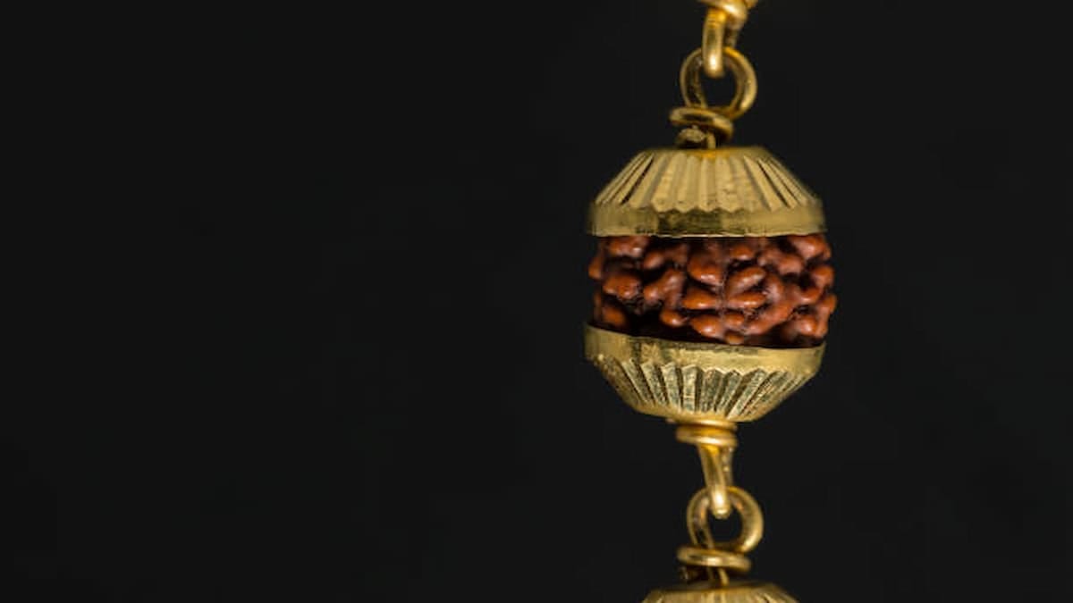 Rudraksha (1)