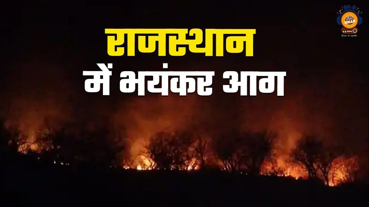 Fire In Rajasthan Dausa Hill Forest Fire