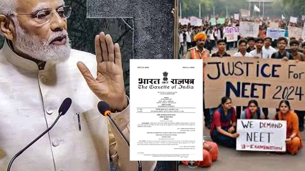 What Is Anti Paper Leak Law