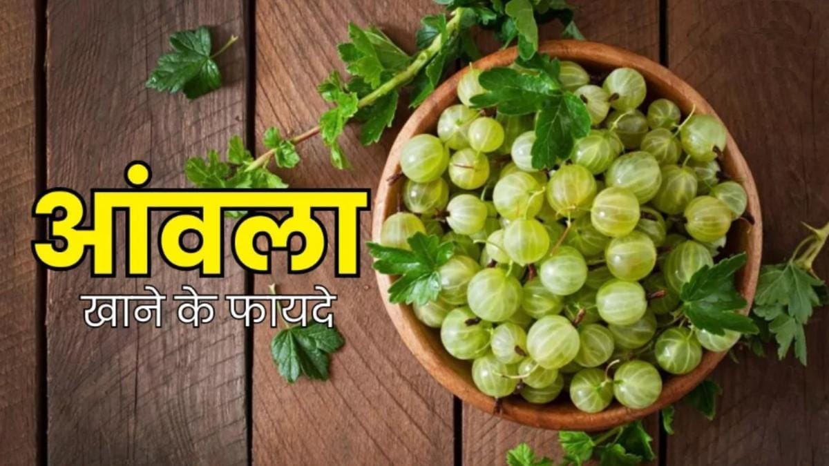 Amla khane ke fyde in hindi