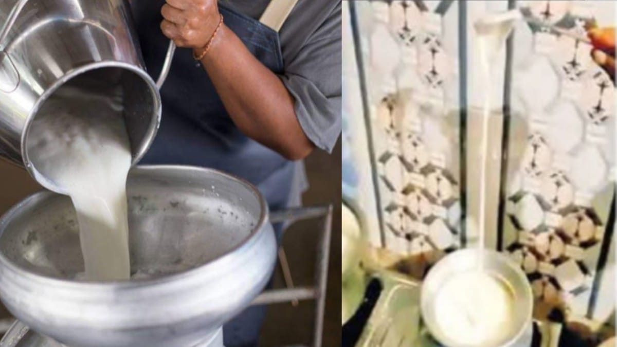 Jhunjhunu milk scandal