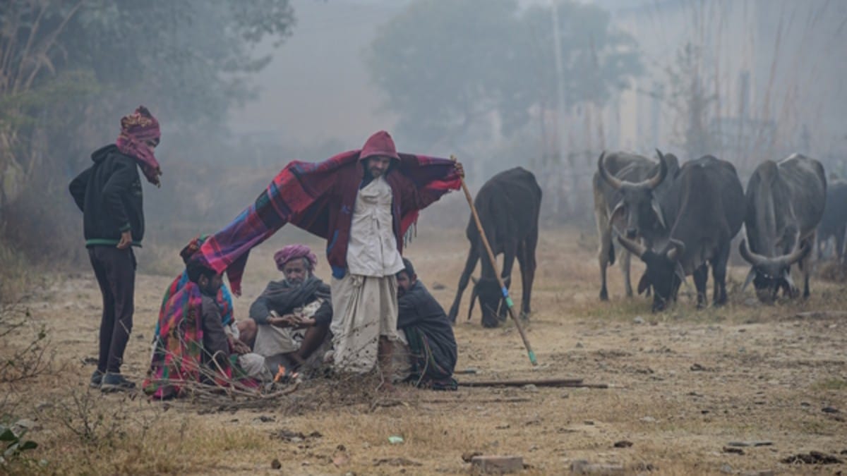 Rajasthan winter