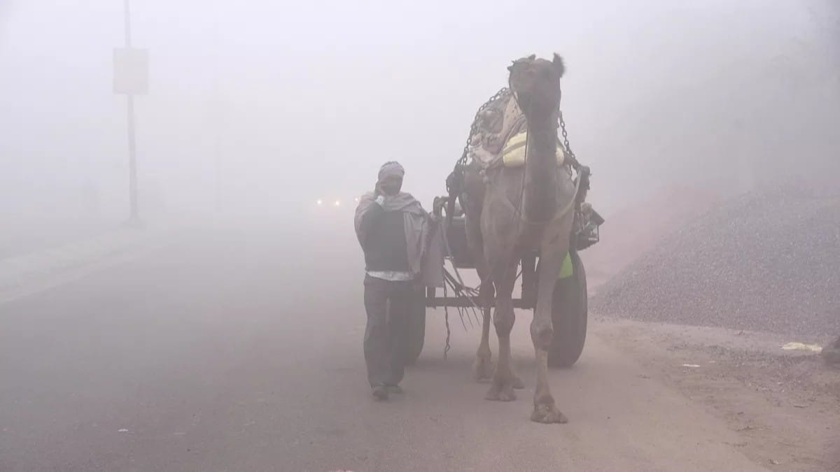 Cold weather alert in shekhawati and jaipur rajasthan
