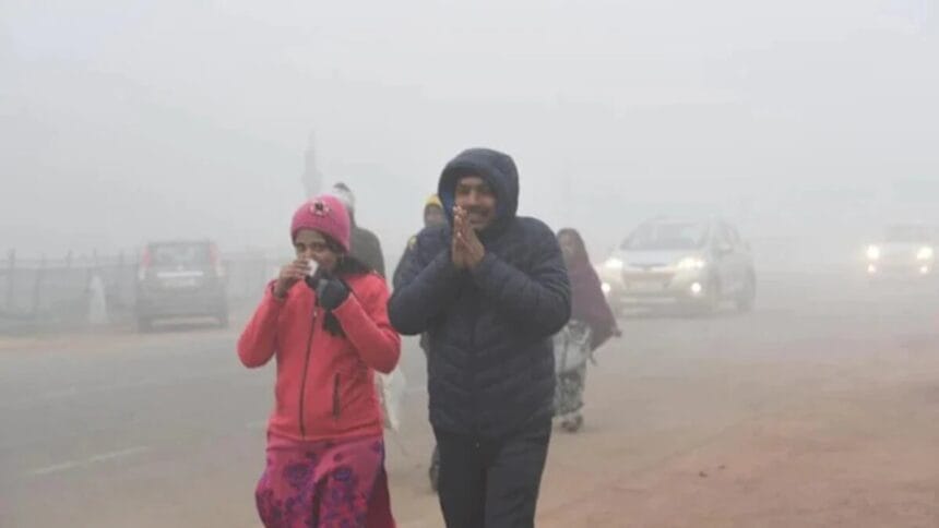 Rajasthan Cold Wave Effect: Fatehpur Records Lowest Temperature