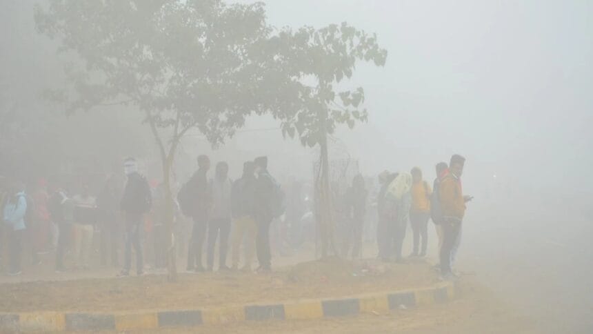 Rajasthan Cold Wave Impact in Mount Abu and Surrounding Areas