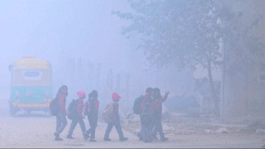 Rajasthan Sikar Jhunjhunu Cold Wave Weather Alert