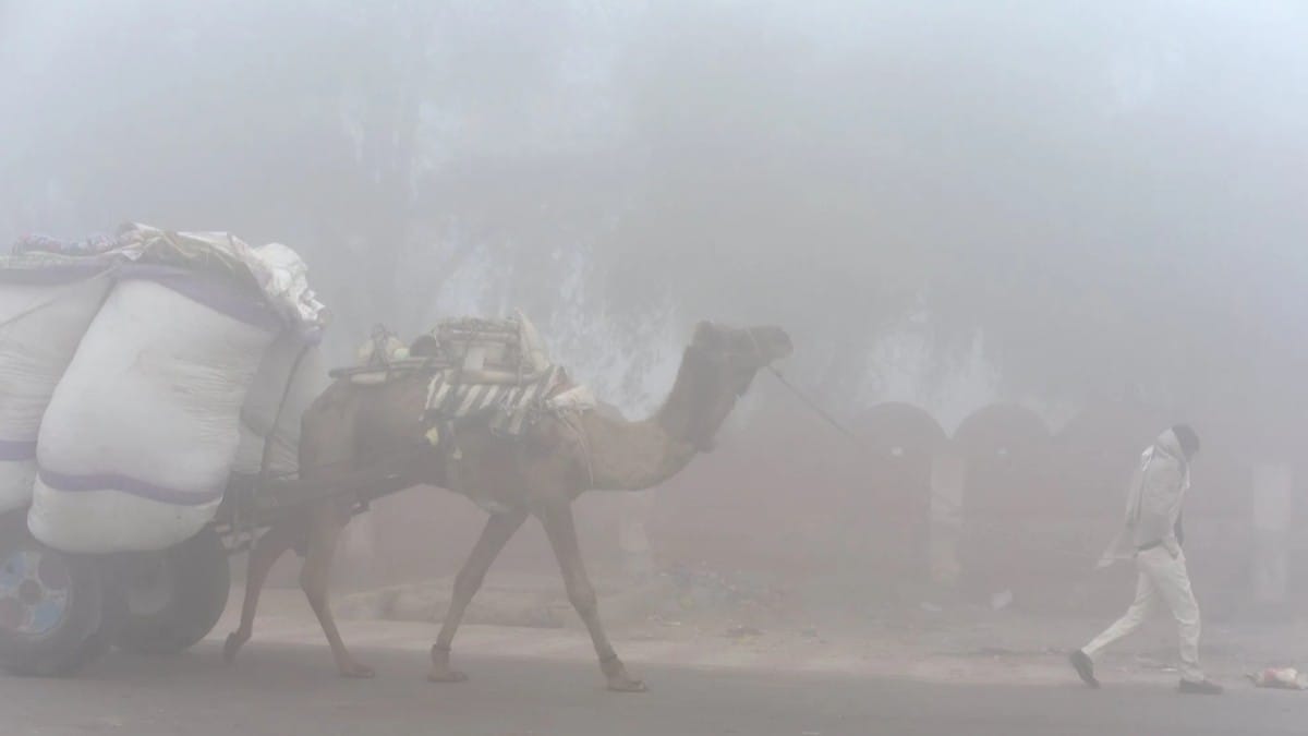 Cold Wave Alert: Rajasthan Temperature Drop from Alwar to Nagaur