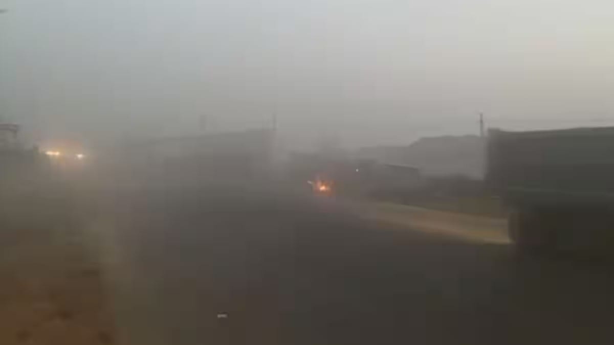 Rajasthan Cold Wave Hits Multiple Districts