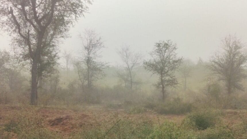 Rajasthan Cold Wave Yellow Alert in Sikar Churu Nagaur