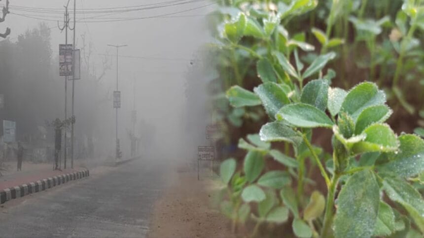 Rajasthan Severe Cold Wave Hits Temperature Drops
