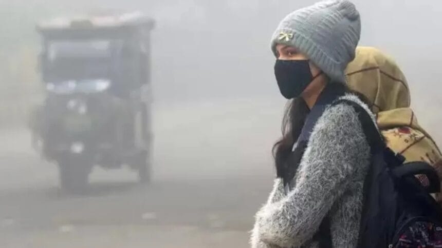 Rajasthan Weather Alert Cold Wave Freezing Conditions