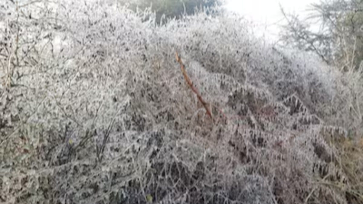Severe Cold Wave Grips Rajasthan as Temperature Drops Below 2 Degrees