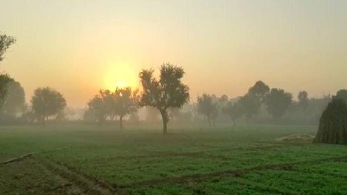 Sikar Cold Wave: Farmers Protect Crops as Cold Wave Continues