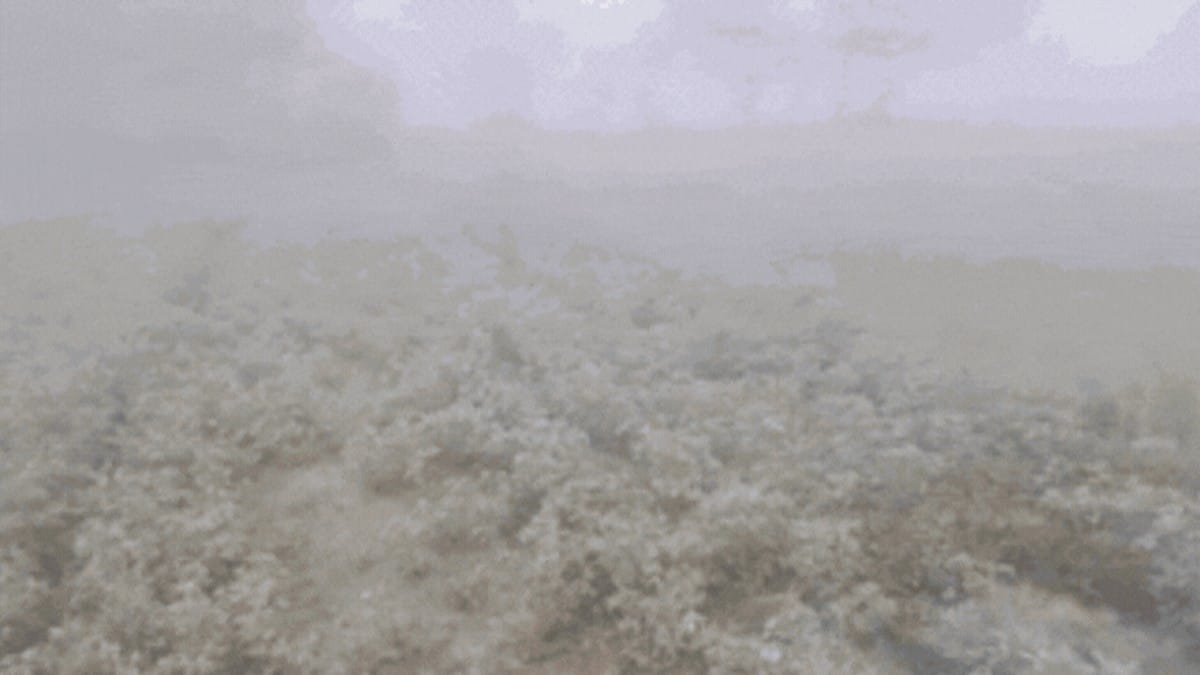 Rajasthan Cold Wave Alert Severe Fogging and Chilling Winds