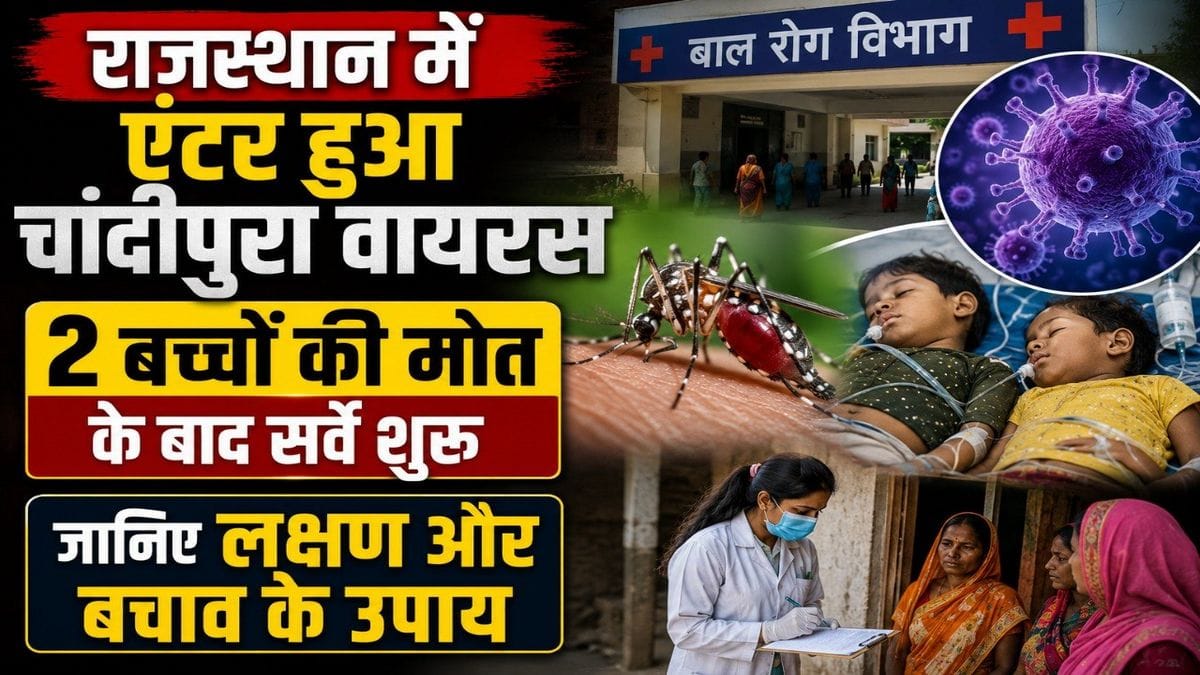 chandipura virus rajasthan alert