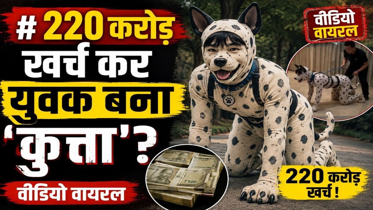 Japan Human Dog Toco