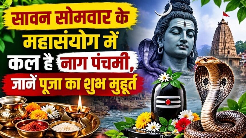 nag panchami puja celebration