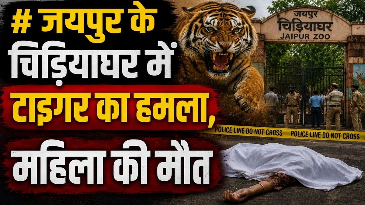 nahargarh tiger attack jaipur
