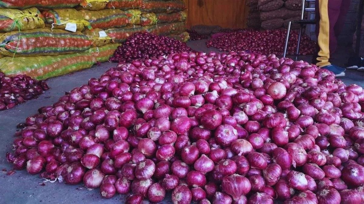 sikar onion prices rise